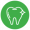 dentysta